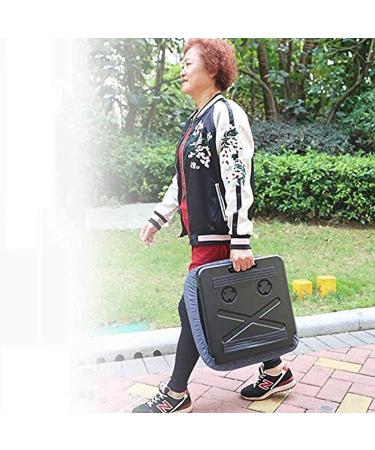 SilteD Stand Assist Aid for Elderly Portable Lifting with Memory Foam Powered Assist Cushion Lifting Seat for Elderly Handicap Or Disabled - Buy Online on GoSupps.com