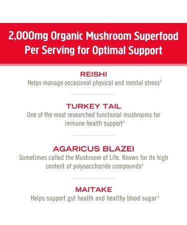 Om Mushrooms 100% Organic Immune Mushroom Powder | 7.05 oz (200 g) - Certified Superfood - Buy Online on GoSupps.com