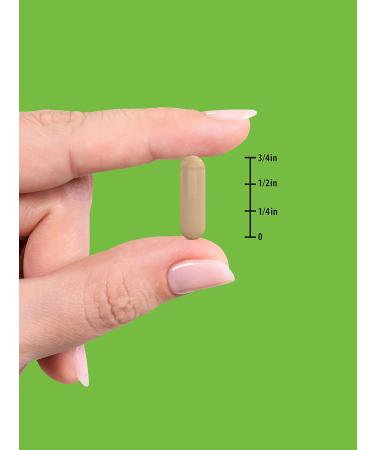 Nature's Truth Korean Ginseng Capsules - 75 Count | Standardized Extract from Ginseng Root | Non-GMO Gluten Free - Buy Online on GoSupps.com