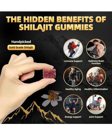 Newrish 2 Shilajit Gummies - Himalayan Source with Gokshura & Fulvic Acid 85+ Trace Minerals No Added Sugar 100% Natural Organic Non-GMO 30-Count for Men & Women - Buy Online on GoSupps.com