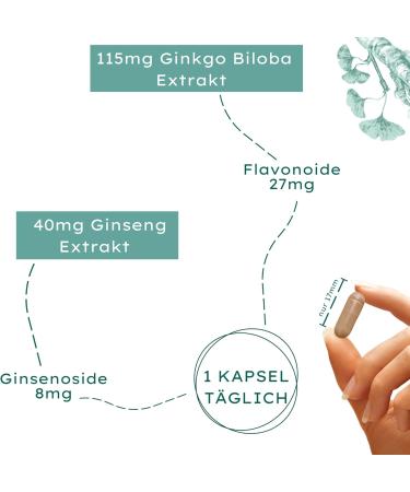 Natural Ginkgo Biloba 180 Capsules - 115mg Ginkgo & 40mg Ginseng | Vegan Certified & Sustainable Supplements - Buy Online on GoSupps.com