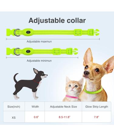 YFBrite Luminous Dog Collar - USB Rechargeable LED Adjustable Neck Band for Dogs & Cats | Durable Flashing Collar for All Sizes (Green XS) - Buy Online on GoSupps.com