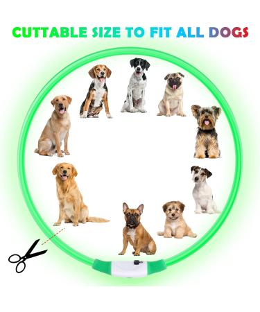 Auauy LED Light Neck Band for Dogs & Cats - USB Charging Waterproof Adjustable Safety Collar with 3 Modes (Green) - Buy Online on GoSupps.com