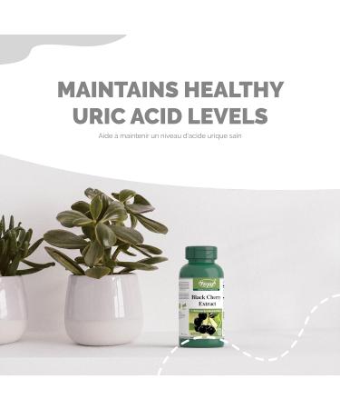 Black Cherry Extract 600mg 3 X 60 Capsules with Thyme Peppermint and Celery Gout Pain Relief Treatment Uric Acid Supplement | Tart Cherry Alternative | 3 Bottles 60 count (Pack of 3) - Buy Online on GoSupps.com