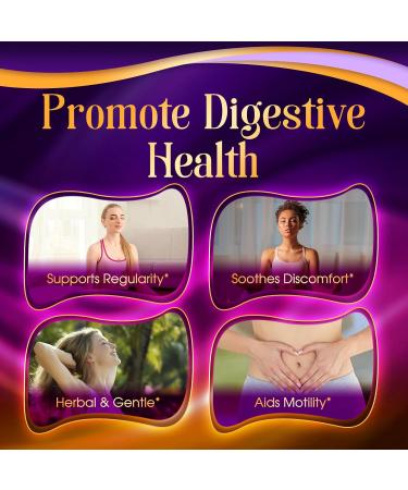 Haritaki Third Eye Capsules Haritaki Capsules Pure Terminalia Chebula Fruit Extract Intuition and Mental Clarity Balanced Energy & Digestion Vegan & Gluten-Free - 120 Veggie Capsules (1 1) 1 Count (Pack of 1) 1 - Buy Online on GoSupps.com