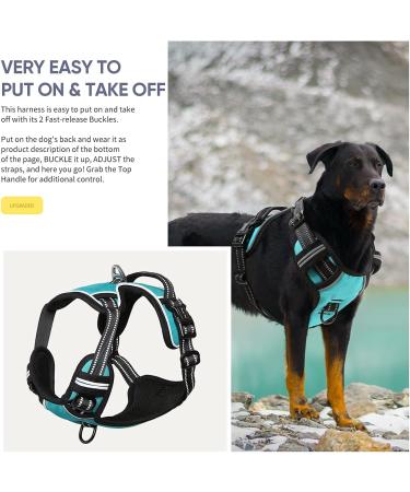 Premium Heele Dog Crockery & No-Pull Harness - Adjustable Reflective & Breathable for Medium Dogs - Turquoise XL - Buy Online on GoSupps.com