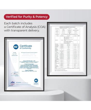 HojaSana 30-Day Supply Berberine with Ceylon Cinnamon for Blood Sugar Cholesterol & Metabolism* | Gluten-Free Non-GMO & Vegan 500mg Berberine Supplement | 60 Capsules - Buy Online on GoSupps.com