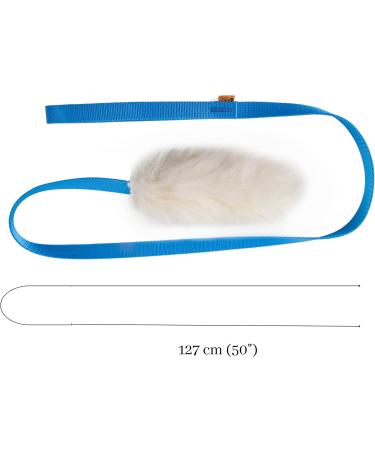 Premium Dingo Dog Toys - Real Lambskin Grip Toys for Training & Motivation - Blue Long Handle 15583 - Buy Online on GoSupps.com