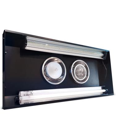Arcadia ThermalZooPro Jungle Dawn Reptile Lighting - Buy Online on GoSupps.com