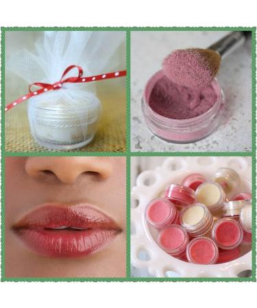 20g/20ml Clear Empty Container Jars with Screw Lids (24 Pack) - BPA Free for Lotions, Lip Balm, Makeup Samples - Buy Online on GoSupps.com