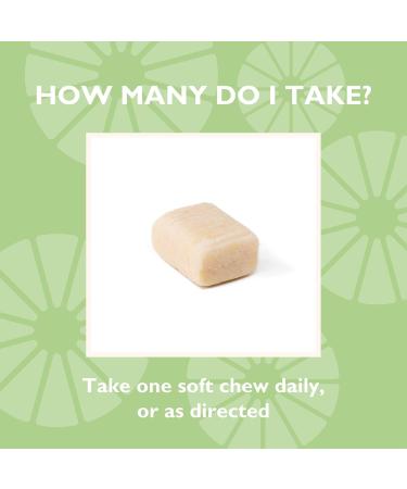 Celebrate Vitamins Bariatric 500mg Calcium Citrate Soft Chews with 500 IU Vitamin D3 Essential for Gastric Bypass Patients & Bone Health - Sugar & Gluten Free Orange (270 Chews) Orange 270 Count - Buy Online on GoSupps.com