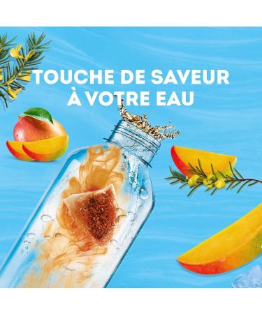 Lipton Cold Infuse Mango Rooibos Cold Infused Water Refreshing Summer Beverage Healthy Flavored Water Sugar Free Takeawa - Buy Online on GoSupps.com