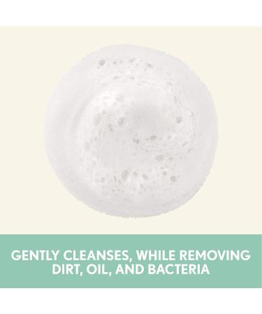 Aveeno Clear Complexion Foaming Cleanser | Oil-Free Facial Wash with Salicylic Acid for Breakout-Prone Skin | 6 fl. oz | Hypoallergenic & Non-Comedogenic - Buy Online on GoSupps.com