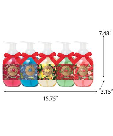 Foaming Hand Soap Gift Set for Women Liquid Hand Soap - Set of 5 Gentle Foaming Soaps (5x10.8fl.oz) Assorted Luxury Hand Wash Includes Gift Card & Premium Box Kitchen Bathroom Home Essentials - Buy Online on GoSupps.com