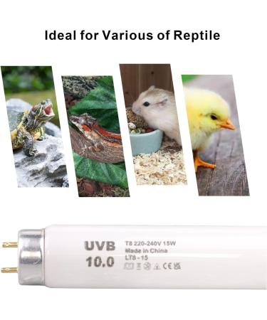 DERPIPE Reptile Light UVB 10.0 T8 Fluorescent Tube 15W for Desert Animals - Enhance D3 Synthesis | Lizard, Snake, Turtle Lamp - Buy Online on GoSupps.com