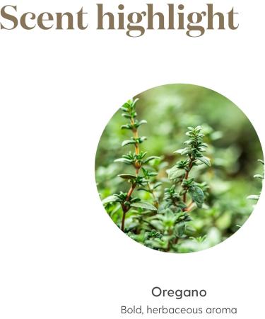 Young Living Oregano Essential Oil 5 ml - 100% Pure Potent Antioxidant Immune & Digestive Support Aromatic Herbal Oil - Buy Online on GoSupps.com