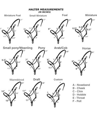 Soft Rope Halters for Horse Training - 11 Sizes - Miniature to Draft - Purple - Cob/Arab Fit - Buy Online on GoSupps.com