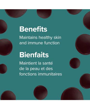 Webber Naturals Zinc Gluconate Gummy 15 mg 60 Gummies For Healthy Skin and Immune Support - Buy Online on GoSupps.com