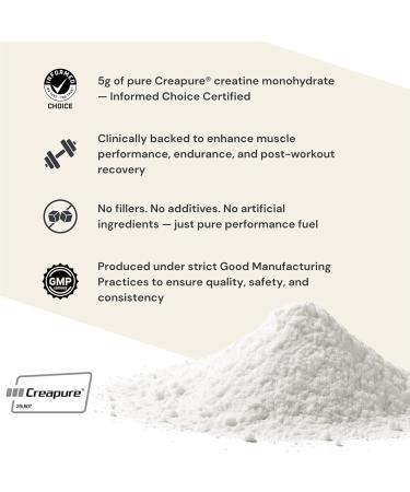 Anea Creatine Monohydrate - Unflavored | 5g Creapure per Serving | Supports Muscle Energy Strength & Recovery | Pure & Filler-Free | Made in GMP Facility - Buy Online on GoSupps.com