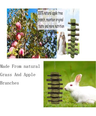 Bunny Chew Toy: Apple Wood Stick for Dental Health - 2 Pieces - Buy Online on GoSupps.com