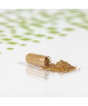 Buy Plusvive Monke Pepper Capsules - High Dose 250mg Vitex Agnus & 100mg Yam Root - Vegan & Lab Tested | International Shipping - Buy Online on GoSupps.com