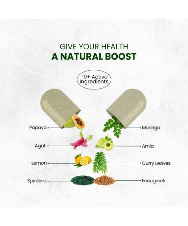 Generic Plant-Based Vitamin B1 | Rich in Antioxidants | Supports Memory and Energy (120 Capsules) - Buy Online on GoSupps.com