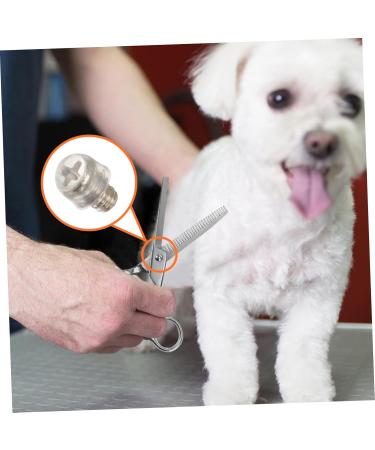 Beaupretty 10pcs Mute Dog Grooming Scissors Set - Noise Protection Accessories in Random Colors - Buy Online on GoSupps.com