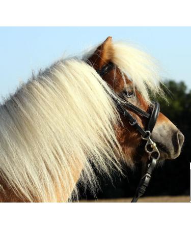 Buy Pelham Postkandare with Kinkin Chain for MiniPony Minishetty & Shetty - Sizes 5.5 to 12.0 | International Shipping Available - Buy Online on GoSupps.com