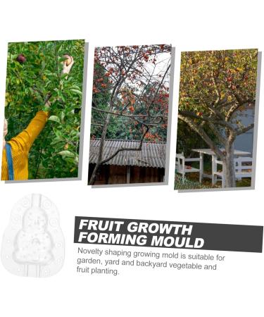 GANAZONO 9 Pcs Vegetable Mold Fruit Shaper Planting Vegetable DIY Cucumber Watermelon 9x8cmx3pcs Transparentx3pcs - Buy Online on GoSupps.com