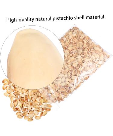NUOBESTY Pistachios 1 Pistachio Shell Craft for Kids Crafts Supplies for Kids Handmade Supplies Turkey Child Natural As Shown 2X1.2CM - Buy Online on GoSupps.com