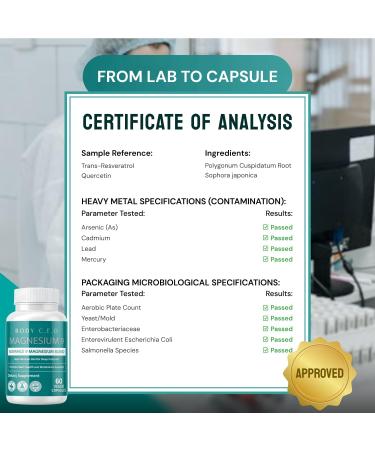 Body C.E.O. Magnesium 9 - Full-Spectrum Blend with Malate, Citrate, Glycinate, Taurate, Orotate & More - Supports Healthy Sleep, Calm, Muscle Relaxation & Focus - 60 Veggie Capsules - Buy Online on GoSupps.com