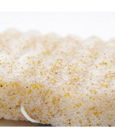 Wave Walnut Cleansing Konjac Cotton Powder | Long Face & Body Wash for Women | Blue | Personal Skin Care - Buy Online on GoSupps.com