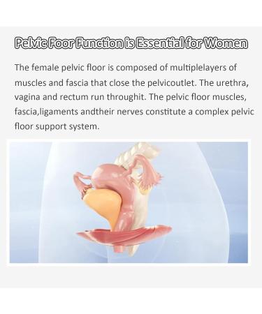 Pelvic Floor Muscle Repair Instrument | Hip Trainers & Postpartum Rehabilitation Device | Inner Thigh & Buttock Strengthening - Buy Online on GoSupps.com