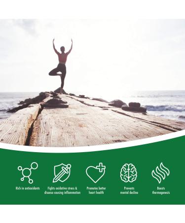 Green Tea Extract Powder 250g - All-Natural Antioxidant Rich EGCG & Polyphenols for Stress Relief, Heart Health, Mental Clarity, and Immune Support - Buy Online on GoSupps.com