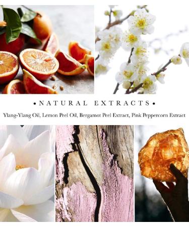 Buy Paradise Found Odourless Conditioner 250ml - Best International Shipping | Eco-Friendly Hair Care - Buy Online on GoSupps.com