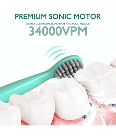 Kids Sonic Electric Toothbrush - Rechargeable Cute Bear Design for Boys and Girls (Ages 3-12) | 30s Reminder, 2 Min Timer, 5 Modes | 6 Brush Heads & Wall-Mounted Holder Included - Green - Buy Online on GoSupps.com