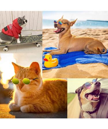 5 Pieces Pet Glasses | Fashion Sunglasses for Dogs & Cats | Retro Style Small & Medium Pet Sunglasses - Buy Online on GoSupps.com