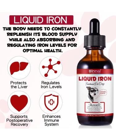 Liquid Iron Supplements for Dogs - with Folate and B12 Supplements Anemia Promotes Blood Health Oxygen Supply and Blood Cell Formation Increase Low Energy Levels Lethargy - 2 oz - Buy Online on GoSupps.com