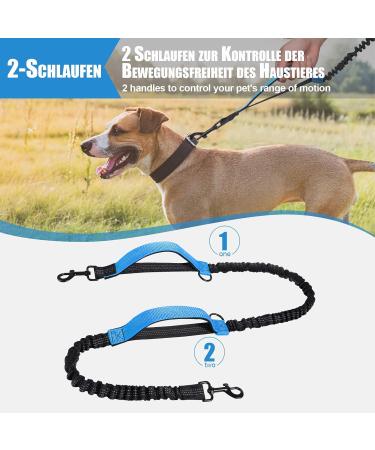 Snocyo Jogging Leash for Dogs | Elastic & Reflective Leash for Medium & Large Dogs | Double Handle & Waist Belt | Black & Blue - Buy Online on GoSupps.com