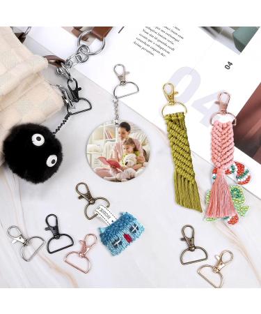 Swivel Clasp Hooks  Anezus 80Pcs Key Chain Clip Hooks  D Ring Clip Lanyard Hardware for Keychain Making  Lanyard Making  Purse Hardware  DIY Craft (3/4 Inside Width) Multicolors 3/4 inch - Buy Online on GoSupps.com