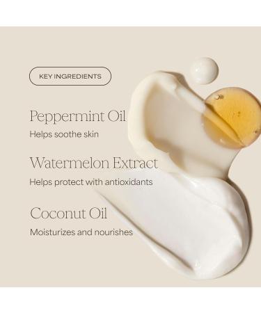 RAW SUGAR Watermelon Mint Refresh Hand Wash 12 Fl Oz (Pack of 4) Liquid Hand Soap for Kitchen or Bathroom Cleanses & Refreshes Hands Vegan Formulated without SLS/SLES & Parabens - Buy Online on GoSupps.com