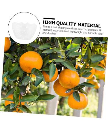 Kisangel 2pcs Ingot Shaped Mold Vegetables Cucumber Mold Fruit Growing Shaper Gardening Supplies Stereotypes - Buy Online on GoSupps.com