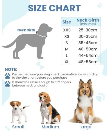 PETTOM Adjustable Nylon Dog Collar - Breathable & Reflective for Small Dogs - Blue S | International Shipping Available - Buy Online on GoSupps.com