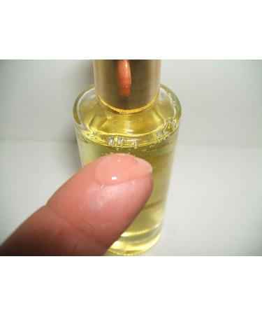 Zelda's 100% Pure Egyptian Musk Body Oil - Imported Glass Gift Bottle with Gold Cap | Refillable Luxury Fragrance - Buy Online on GoSupps.com