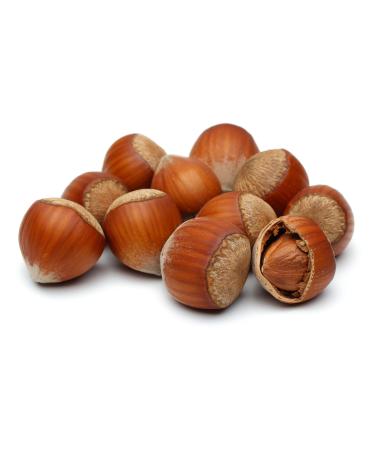 Turkish hazelnut with shell/hazelnuts in the bowl from Turkey |(1 kg of small package) | Hazelnut in bowl / vegan / natural / untreated / high quality / hazelnut 1 kg (1 Pack)