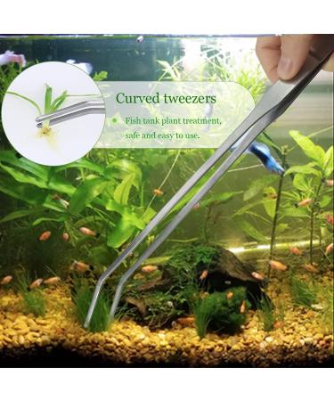 2 Pcs Stainless Steel Feeding Tongs Set 27cm - Ideal for Aquascaping, Reptiles, Lizards, Bearded Dragon - Straight and Curved Tweezers - Silver - Buy Online on GoSupps.com