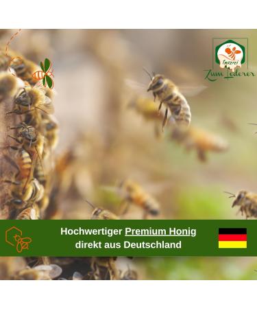 German Strawberry Honey - Creamy Sweet Spread from Zum Lederer | 250g Pure Bavarian Forest Flavor Directly from Beekeeper - Buy Online on GoSupps.com