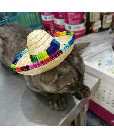 Kitatayi Mini Straw Sombrero Hat for Small Pets - Mexican Sombrero Party Hat for Dogs, Puppies, and Cats - Buy Online on GoSupps.com