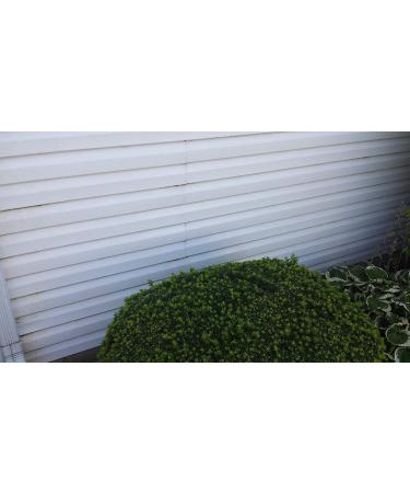 Iron OUT Liquid Rust Stain Remover - 1 Gallon | Removes Rust Stains from Concrete & Vinyl Outdoors | No Scrubbing Needed | Safe & Unscented - Buy Online on GoSupps.com