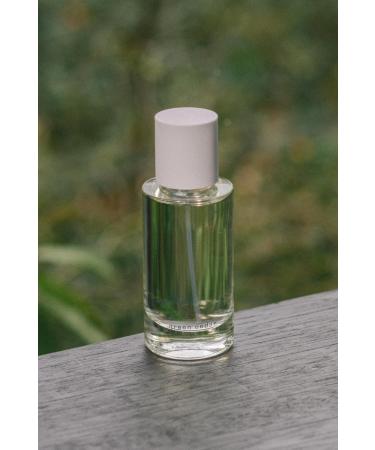 ABEL - Green Cedar Eau de Parfum | Vegan Clean Beauty + Non-Toxic Fragrance (1.7 fl oz | 50 ml) 1.7 Fl Oz (Pack of 1) - Buy Online on GoSupps.com